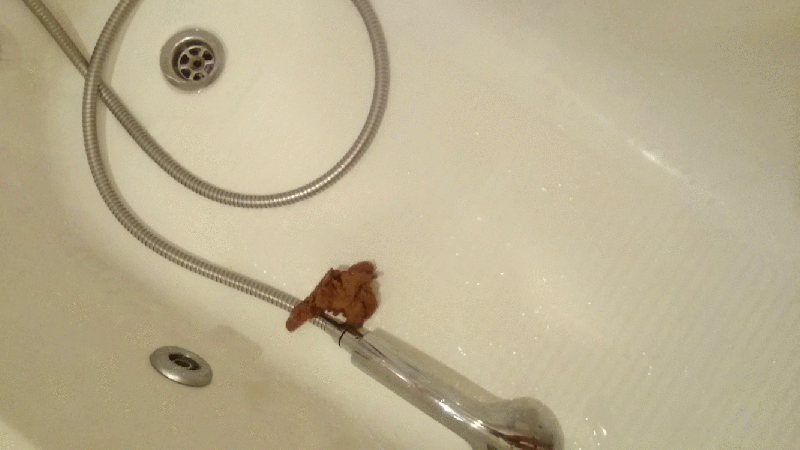 Shit is the best shower gel